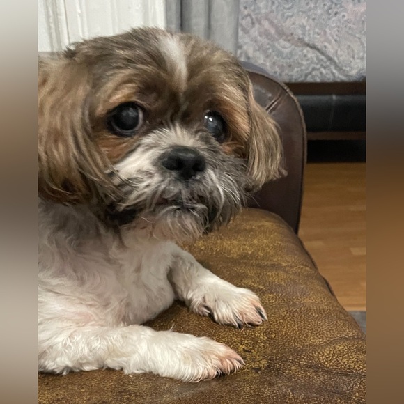 UPDATED October 2024 - Picture 5 of 6